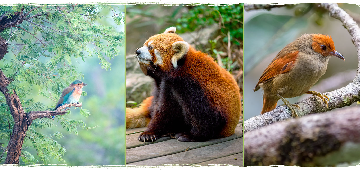 About Sramana Journeys